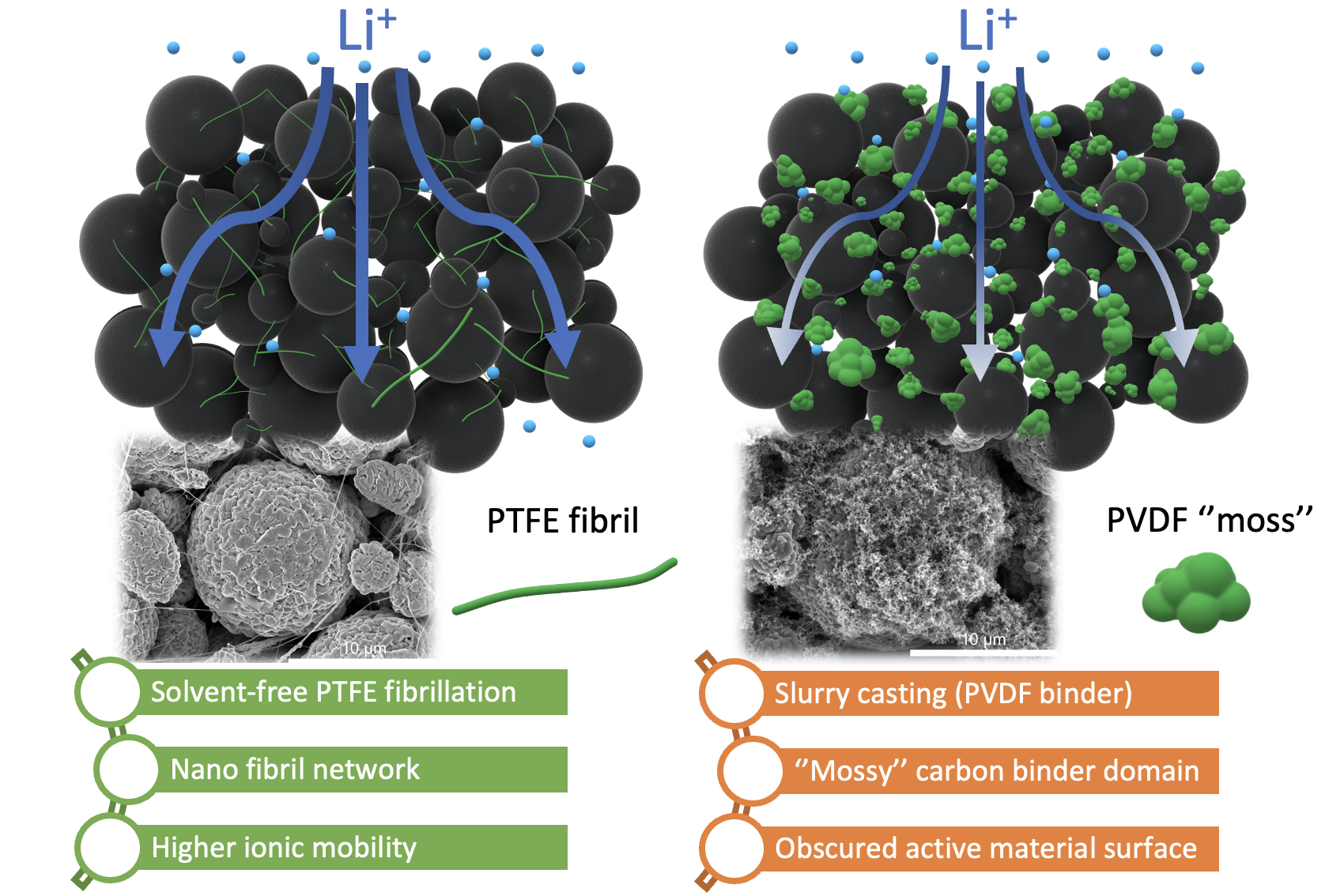Solvent-free NMC electrodes for Li-ion batteries: unravelling the microstructure and formation of the PTFE nano-fibril network